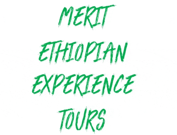 Merit Ethiopian Experience Tours (MEET) - the Most Client-Focused Bespoke Tour & Activities Agency 2024