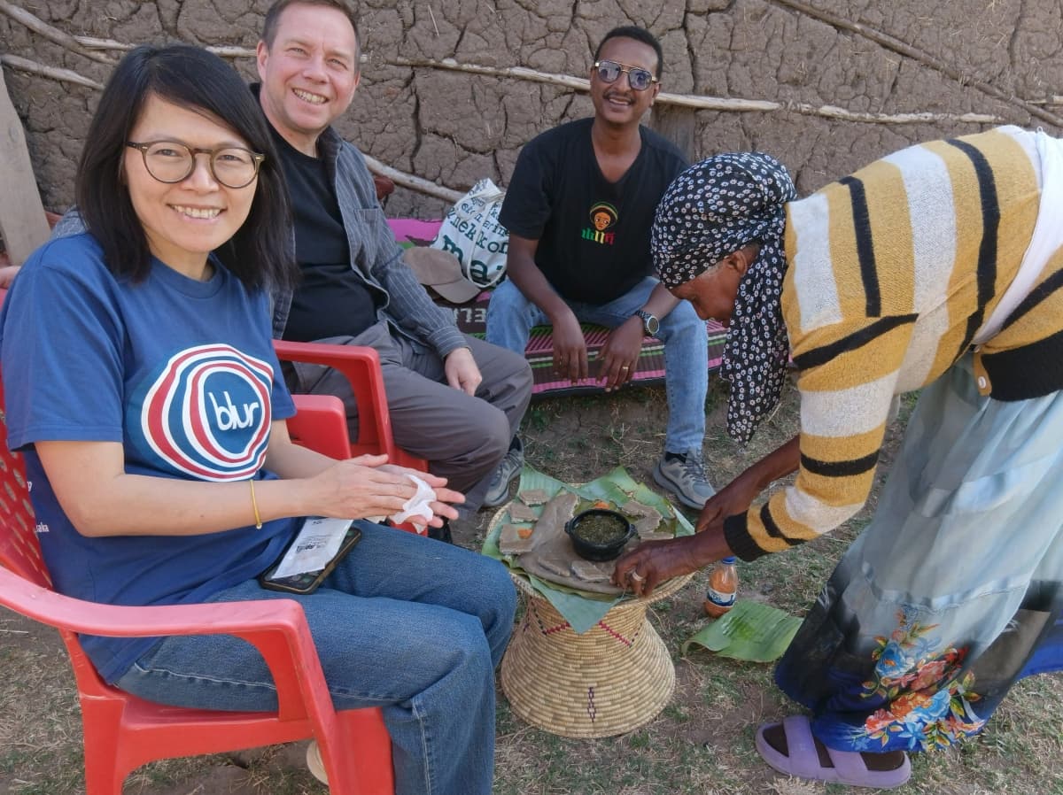 Cultural experience at Tiya on a day tour from Addis Ababa