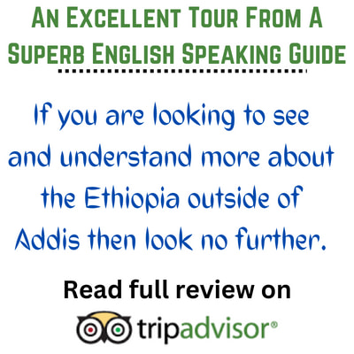 Review about Adadi Maryam Day Trip on TripAdvisor