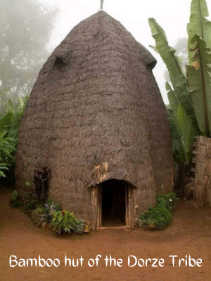 Traditional huts of the Dorze Tribe made of bamboo