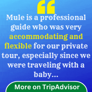 Reviews on TripAdvisor about Merit Ethiopian Experience Tours