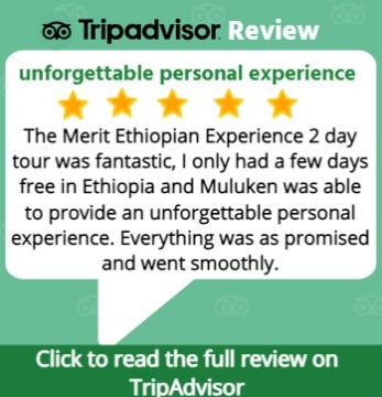 Customer Review on TripAdvisor about 2 days Rift Valley Tour